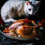 Gato blanco acechando un pollo asado sobre bandeja.